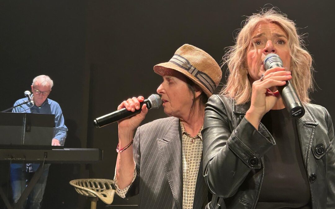 CES PETITS RIENS – spectacle